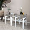 Set of 2, Modern Tempered Glass Tea Table Coffee Table End Table, Square Table for Living Room, Transparent/White