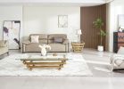 Stainless Steel Tempered Glass Coffee Table Living Room Gold Table Set of 2